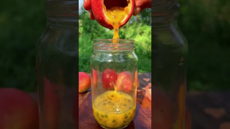 most refreshing summer drink  passion fruit mocktail  Traditional food home