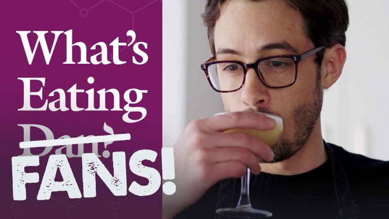 Dan Answers All Your Lemon Questions | What’s Eating Fans?