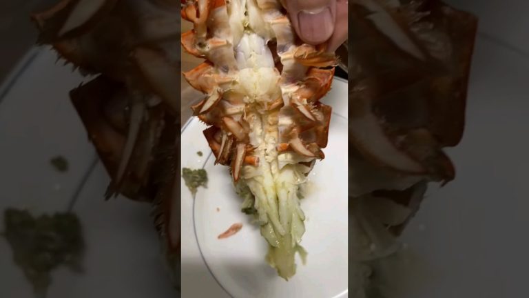 This is the way #shorts #환상의조합