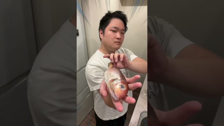 tomikkunet funny crazy seafood video😂😂😂|Tiktok the Best!! #shorts #TikTok