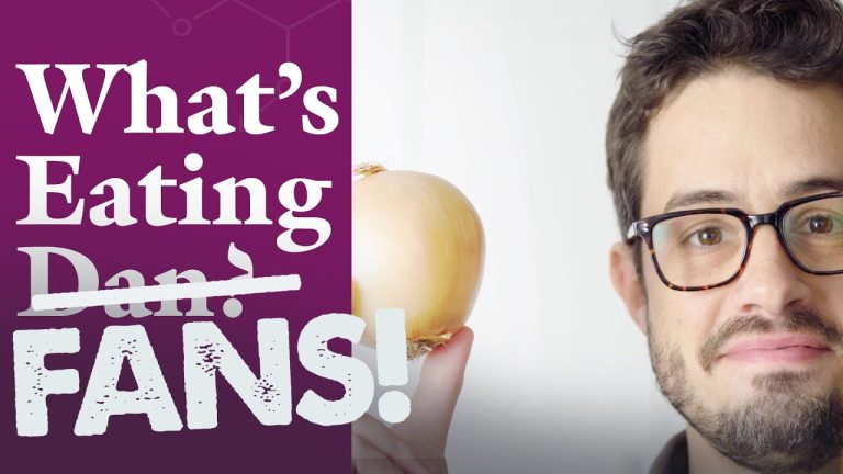What’s Eating FANS: Dan Responds to Your Onion Questions