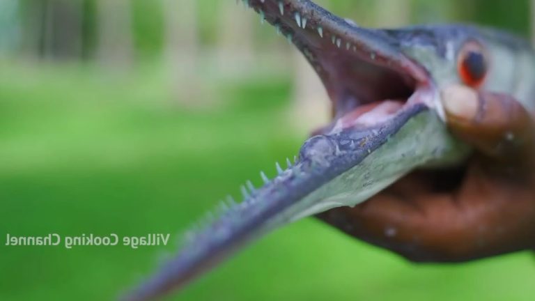 100 KG GARFISH Recipe Cooking | Fried and Tawa Dried Fish Fry | Seafood Recipes SNAKE Like Fish!