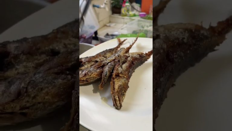 What is your perfect lunch?