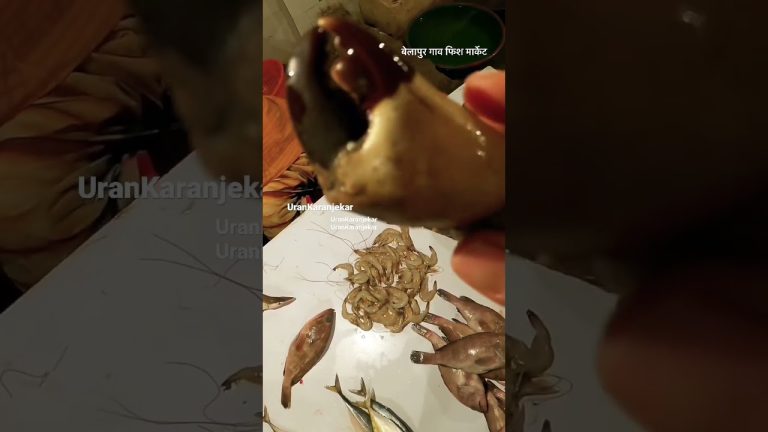 #crab #types #bigcrab #fishlover #seafoodrecipes