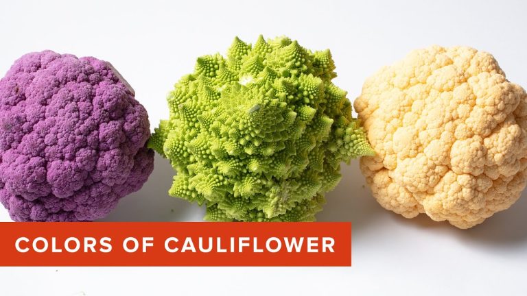 What ‘s the Difference Between the Many Colors of Cauliflower?