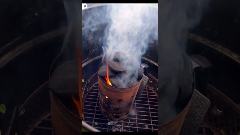 BBQ SMOKED RIBS – Tender Baby Back Ribs Smoked with Oak