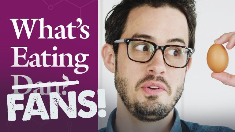 What’s Eating Fans? | Dan Responds | Olive Oil, Cauliflower &  Egg Yolks | What’s Eating Dan?