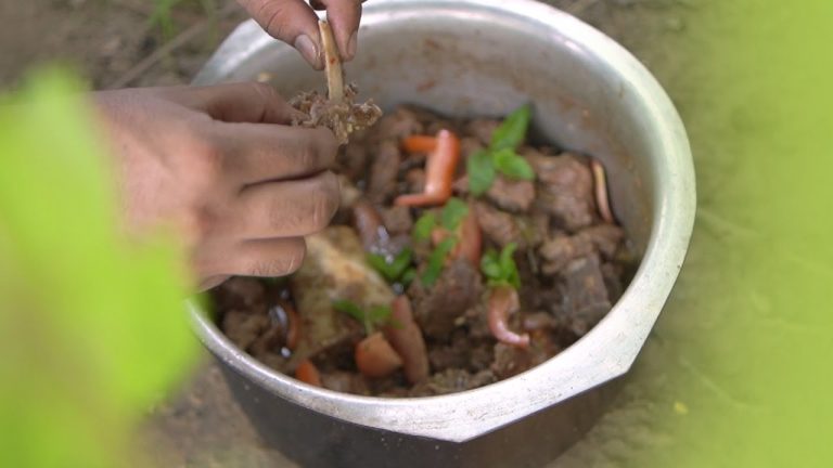 THOUSAND YEAR OLD BEEF RECIPE | ORGANIC BEEF RECIPE | FOOD UNIVERSE