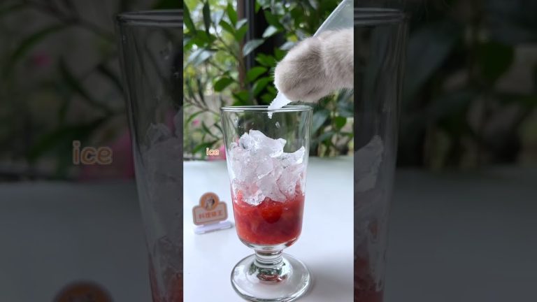 Cat Cooking Show: Strawberry Yakult Soda with ChangAn | Easy Drinks Recipes | Cute Cat TikTok#Shorts
