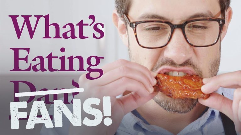 What’s Eating Fans? Dan Responds | Wings | What’s Eating Dan?