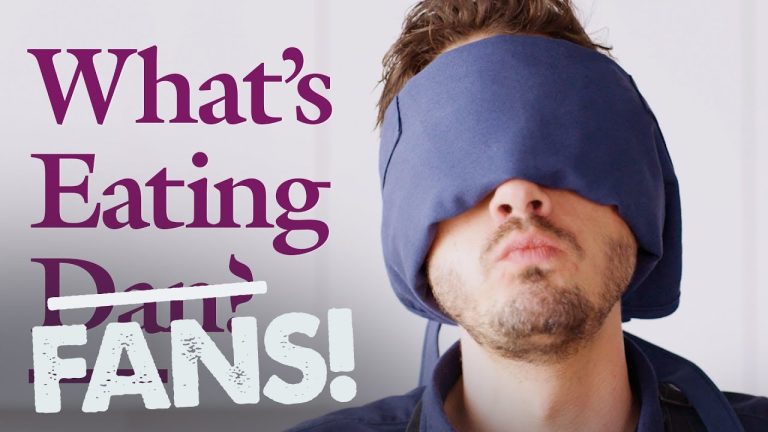 What’s Eating Fans? Dan Responds | Salmon | What’s Eating Dan?