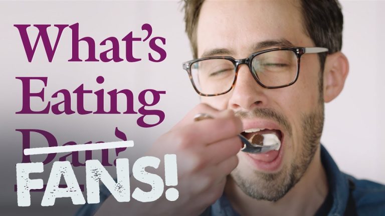 What’s Eating Fans? Dan Responds | Ice Cream | What’s Eating Dan?