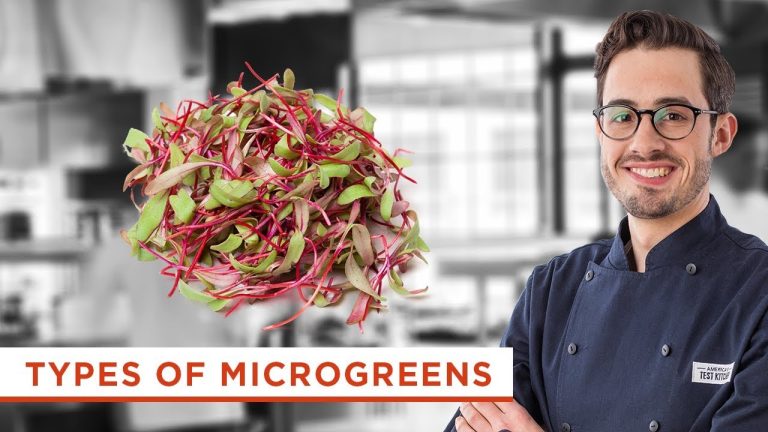 How to Boost Flavor in Dishes By Using 8 Kinds of Microgreens (Sprouts)
