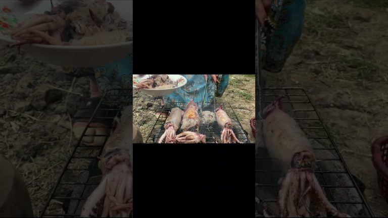 Yummy Fried squid with Glass Noodle and Ground Pork មឹកអាំង ញ៉ុត់ស្នូល