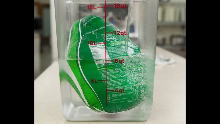 How to Thaw Frozen Turkey Fast: How to Save Thanksgiving & Thaw a Frozen Turkey in a Day