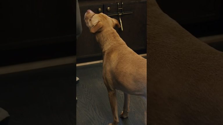 Touch grass and eat a salad