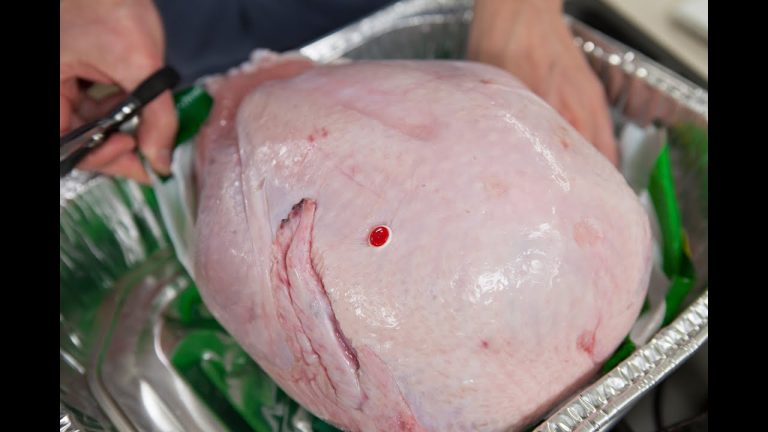 How to Know When Your Thanksgiving Turkey is Done
