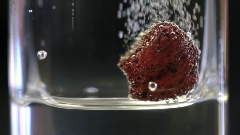 Science: Love Seltzer, Champagne, or Soda? We Explain Carbonation & Bubbles in Fizzy Beverages