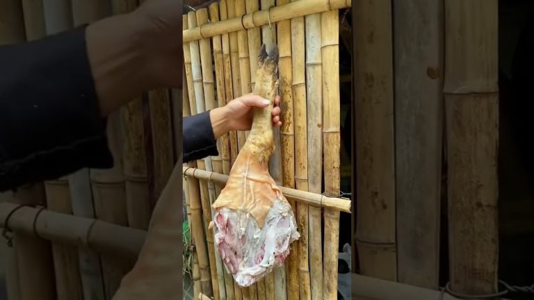 OutDoor Cooking BIG PORK TORTTERS🐖🤤|| ASMR video | Mukbang video || Pork Recipes #shorts#viral#asmr