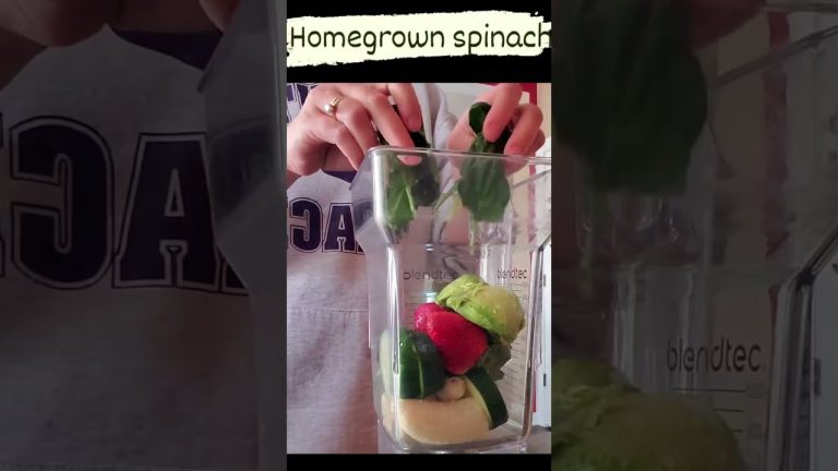 🥤Smoothie with Home Grown Spinach Recipe🥤- First Upload From My Home Garden!