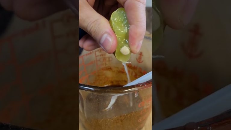 SMOKY PULL PORK with Chipotle Mayo (recipe im description)