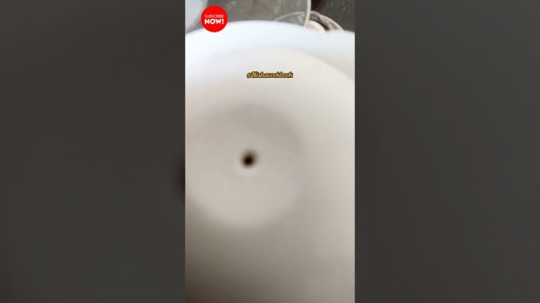 Strawberry banana shake with chocolate flavour #nishacookbook #shorts #shake #summerdrink #homemade