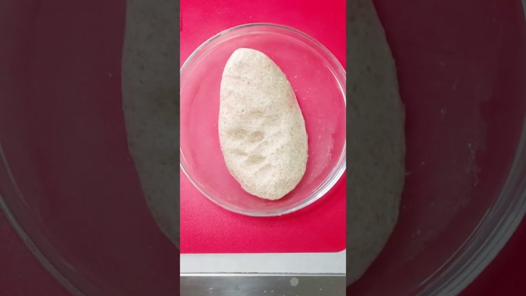 WHOLE MEAL BREAD Recipes Delicious #shorts #viral #viralvideo