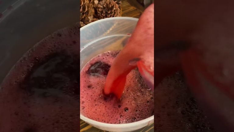 Agua Fresca de Jamaica y Fresa