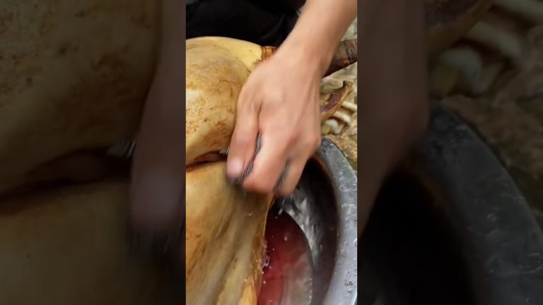 COOKING Full BULL HEAD Recipe 🐮😱 || Viral Recipes || Asmr Mukbang video #shorts #viral #recipe #bull