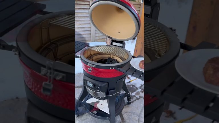 THIS is the first thing I cooked on the NEW Kamado Joe Konnected Joe #shorts