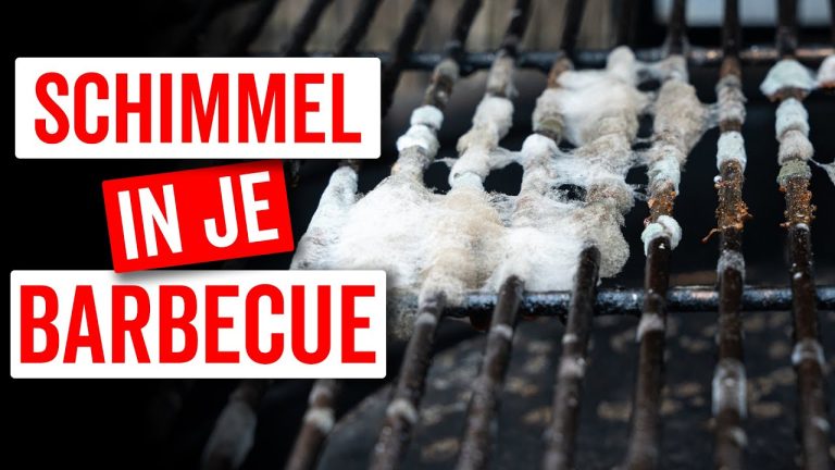 Schimmel in je BBQ? Zo maak je je barbecue weer brandschoon!