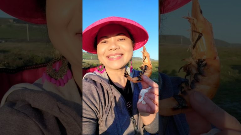 Steak, Shrimp and Sunsets… #krazykatrecipes #krazykatng #bbq