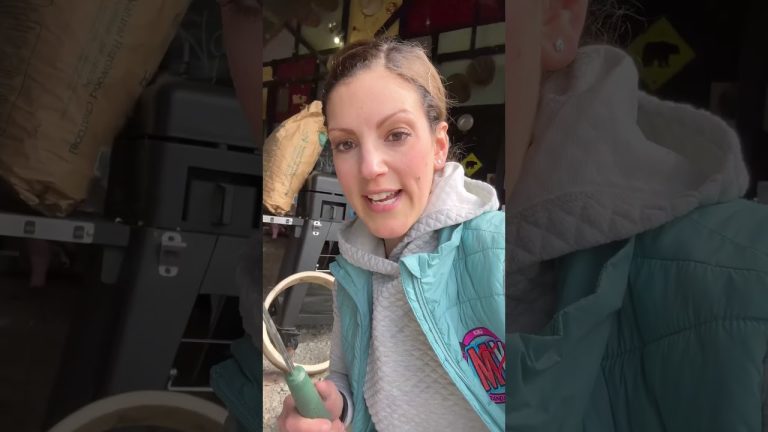 HOW TO CLEAN THE BIG GREEN EGG! 💚🧽🔥 #biggreenegg #bge #bbq #grillcleaning #spring