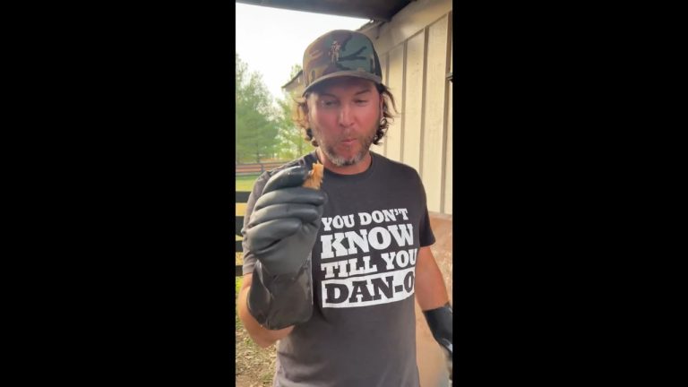 You don’t know till you Dan O: Whole Hog BBQ