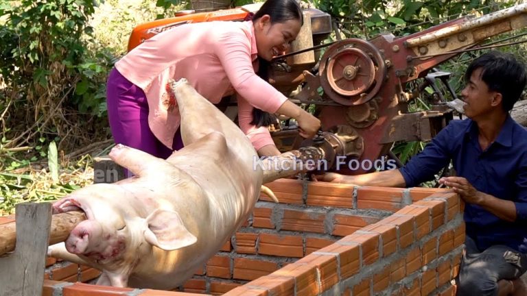 Roast Whole BIG SPICY PIG 100KG with Power Tiller Machine Tractor – BBQ Spicy Foods