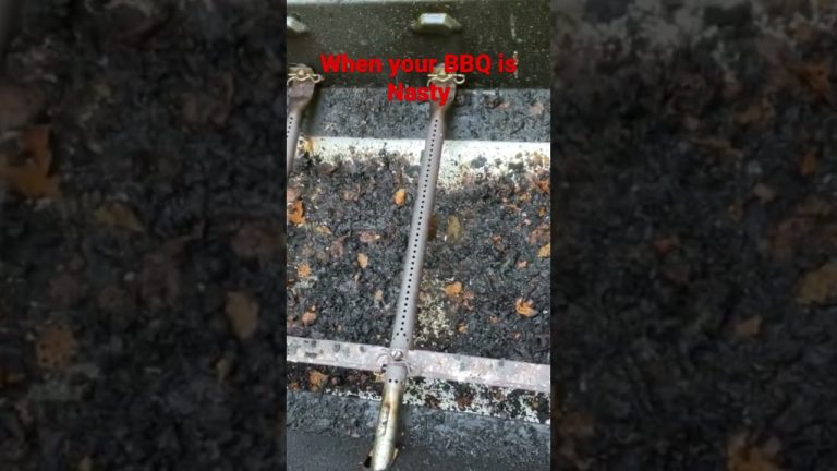 BBQ Cooking Gone Wrong 🤮🤢 #shorts