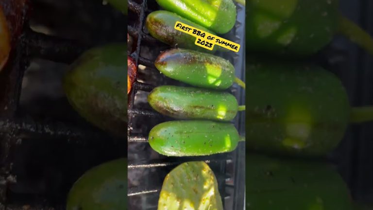 ASMR First BBQ Summer Sounds | April 2023 #happydad #asadadude #bbqtime #davidskitchenandgrill