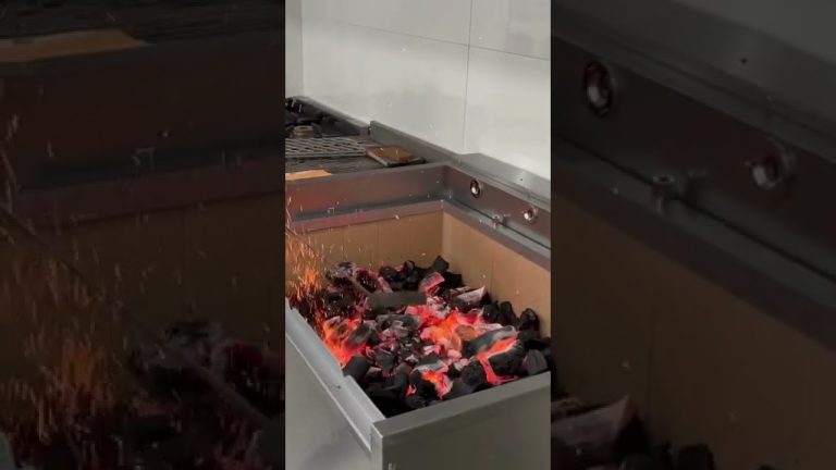 Démonstration bbq portugais pro