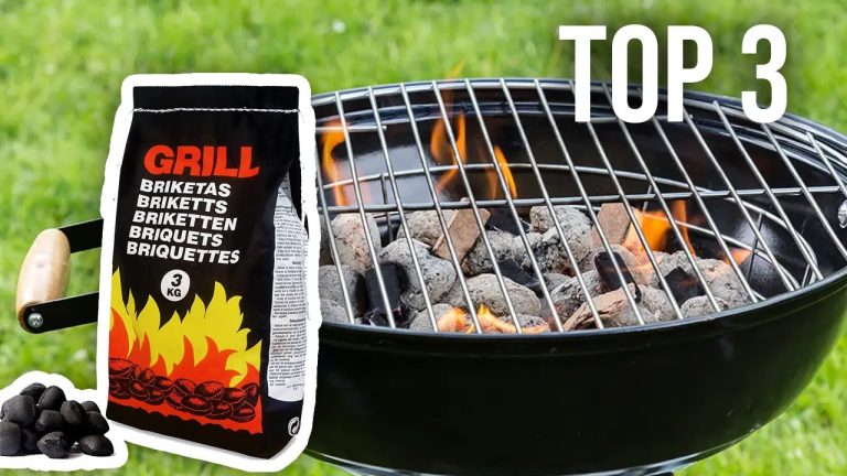 TOP 3 : Meilleures Briquettes Charbon de Bois pour BBQ 2022