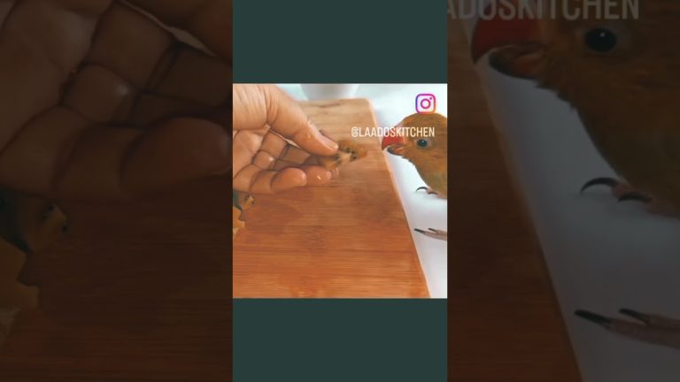 Subscribe ❤️ #explore #cooking #recipes #youtubeshorts #shorts #viral #trending #trendingshorts