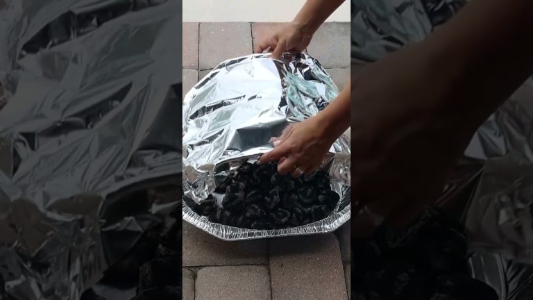 Super Cheap & Easy Disposable BBQ Grill! (Outdoor Home Hack Short)