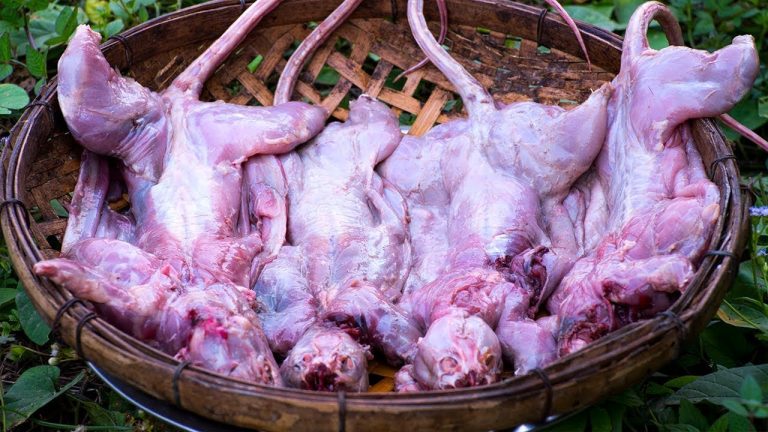 Cook Rats Meat  Recipe, Spicy Rat Food in Village by Kitchen Foods