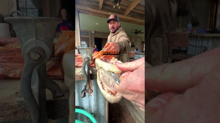 How To Cook Louisiana Alligator | Louisiana Crawfish Company #alligator  #rotisserie #barbecue