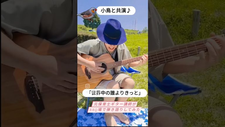 【癒やし系】BBQ場で弾き語りしたら小鳥のさえずりに癒やされた【世界中の誰よりきっと】