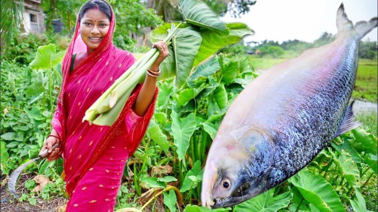 2 kg সাইজের ইলিশমাছ কেটে বেগুন দিয়ে রান্না সাথে ইলিশ মাছের মাথা দিয়ে কচু শাক || hilsha fish recipe