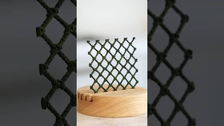 No waste sardine tuille recipe! Great way to use canned fish oil #shorts