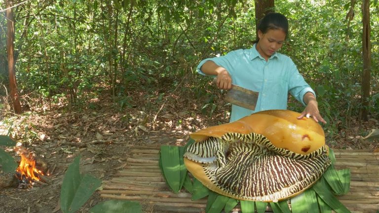 Monster Sea Snail Cooking In Rainforest – Giant Seafood Cooking Incredible