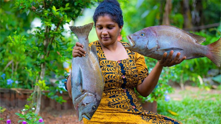 “Mud  Surrounded  Whole Baked Muttle Fish” 🐠🐟& Freshly picked Strawberry recipes🍓🍓