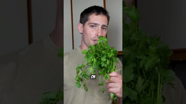 How to impress a HOT DATE 🥵