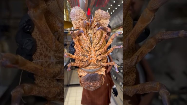 #shoplocal #food #seafood #app #seafoodheaven #fish #fishing #seafoodlover #seafoodrecipes #style